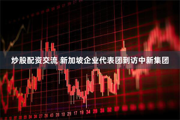 炒股配资交流 新加坡企业代表团到访中新集团