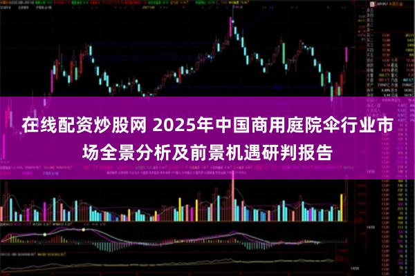 在线配资炒股网 2025年中国商用庭院伞行业市场全景分析及前景机遇研判报告